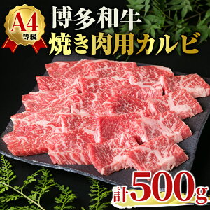 yӂ邳Ɣ[ŁzA4NaJrēp(v500g)  Y  јa a Ⓚ Jr Ƃ܃~[gfH[zsyksg1708zyiXz