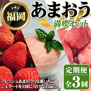 yӂ邳Ɣ[Łzss\tEʌtցES3(3E6E8)2026N3炨͂I܂iZbg(܂Fv1kgEWF[g2Fv720mlEⓀF1.5kg) 