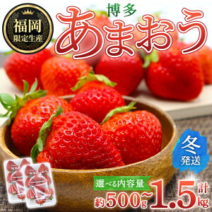 yӂ邳Ɣ[ŁzeʂIׂEs\tI2025N12{`2026N1{ɏ\聄 ܂E~ (v500g `1.5kg)   t[c ʕ   ƒp 