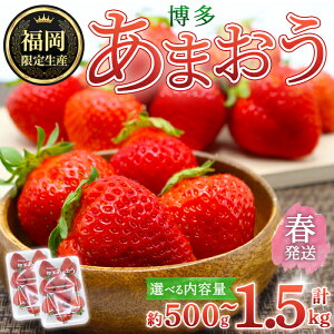 yӂ邳Ɣ[ŁzeʂIׂEs\tI2026N2{`2026N4{ɏ\聄 ܂Et (v500g`1.5kg)   t[c ʕ   ƒp ①