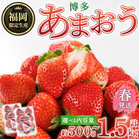 【ふるさと納税】＜容量を選べる・先行予約受付中！2026年2月上旬〜2026年4月下旬に順次発送予定＞ 博多あまおう・春 (計約500g〜1.5kg) いちご 苺 フルーツ 果物 くだもの 福岡限定 家庭用 冷蔵＜離島配送不可＞【ksg1739・ksg1740・ksg1741】【農産物直売所ほたるの里】