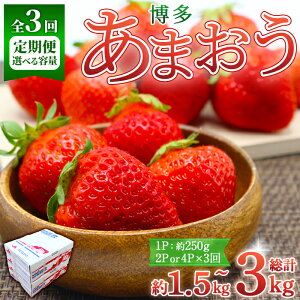 yӂ邳Ɣ[ŁzeʂIׂES3ցEs\tI2026N2{`2026N4{ɏ\聄 ܂ (v1.5kg`3kg)   t[c ʕ  ƒp 