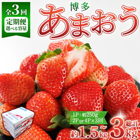 【ふるさと納税】＜容量を選べる・全3回定期便・先行予約受付中！2026年2月上旬〜2026年4月下旬に順次発送予定＞ 博多あまおう (総計約1.5kg〜3kg) いちご 苺 フルーツ 果物 くだもの 家庭用 冷蔵 定期便 ＜離島配送不可＞【ksg1742・ksg1743】【農産物直売所ほたるの里】