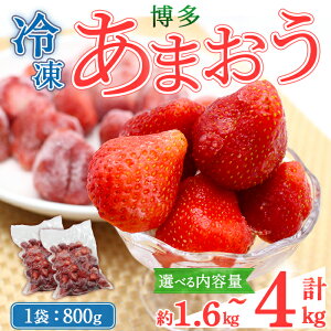 yӂ邳Ɣ[ŁzeʂIׂ遄Ⓚ ܂ (v1.6kg`4kg)  C`S  ܂ Ⓚ ⓀC`S Y  ʕ t[c ACX V[xbg W X[W[ 