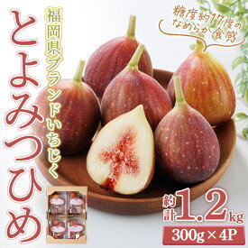 【ふるさと納税】＜先行予約受付中！2026年8月下旬～2026年10月下旬順次発送予定＞福岡県ブランドいちじく博多 とよみつひめ (計約1.2kg・300g×4P) いちじく イチジク フルーツ 果物 くだもの 福岡限定＜離島配送不可＞【ksg1750】【農産物直売所ほたるの里】
