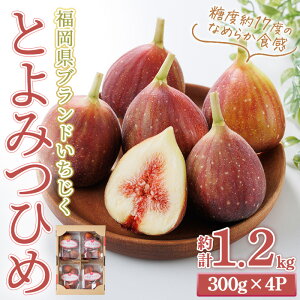 �y�ӂ邳�Ɣ[�Łz����s�\���t���I2026�N8�����{�`2026�N10�����{���������\�聄�������u�����h������������ �Ƃ�݂Ђ� (�v��1.2kg�E300g×4P) �������� �C�`�W�N �t���[�c �ʕ� �������� ��