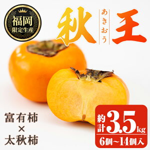 �y�ӂ邳�Ɣ[�Łz����s�\���t���I2026�N10�����{�`11�����{�ɏ��������\�聄�H�̃t���[�c�̉��l�E�u�����h�` �H�� (�v��3.5kg�F6�`14����) ���� �J�L �t���[�c �ʕ� �������� �������� 