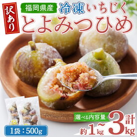 【ふるさと納税】＜不揃い・訳あり＞ 冷凍いちじく博多 とよみつひめ (計約1kg〜3kg) 冷凍 いちじく イチジク フルーツ 果物 くだもの 福岡限定 オリジナルブランド＜離島配送不可＞【ksg1756・ksg1757・ksg1758】【農産物直売所ほたるの里】