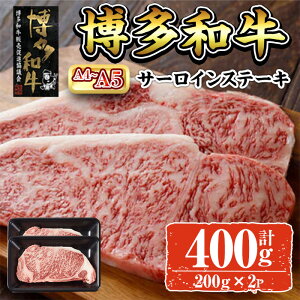 yӂ邳Ɣ[ŁzA4~A5 aT[CXe[L (v400g:200g×2P)     Y uh a T[CXe[L g Ⓚ LO a O  lCyksg