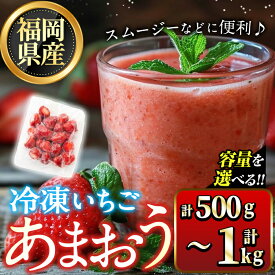 【ふるさと納税】＜内容量が選べる！＞福岡県産 冷凍 あまおう(500g〜1kg) 苺 いちご イチゴ ヨーグルト アイス シャーベット ジャム スムージー ＜離島配送不可＞【ksg1774・ksg1775】【木村食品】