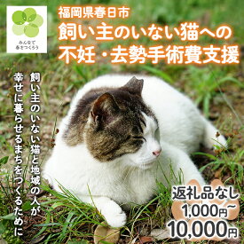 【ふるさと納税】飼い主のいないねこと地域の人が幸せに暮らせるまちづくり支援 (返礼品なし) 猫 ねこ 地域猫 支援 TNR活動 去勢 【ksgsn02・ksgsn07・ksgsn08】【福岡県春日市】