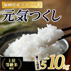 【ふるさと納税】＜数量限定・容量が選べる＞JAよりお届け！福岡県産米 元気つくし (計5～10kg)お米 おこめ 米 こめ コメ 白米 福岡県産 ブランド米 常温 常温保存 【ksg1813・ksg1814】【農産物直売所ほたるの里】