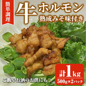 yӂ邳Ɣ[Łzzn݂t (v1kg:500g×2pbN)z n݂ ܂  y ٓ o[xL[  ȒP Ⓚ tzsyksg1845zy