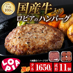 �y�ӂ邳�Ɣ[�Łz�����e�ʂ�I�ׂ�I�����s�A ����100�� ���Y������n���o�[�O (���`140g×11�� or �^�l1650g) �t���s���� ���� ���t���� �����t�� ���s�A LOPIA ���t�� �y�� ������ �Ⓚ �Ă����� 