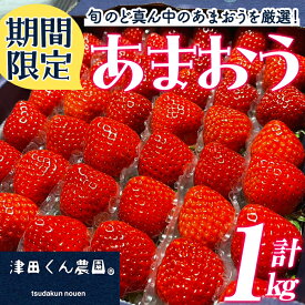 【ふるさと納税】＜先行予約受付中！2025年1月上旬から2025年3月中旬にかけて順次発送予定＞福岡県産いちご 津田くん農園のあまおう(計約1kg) 苺 いちご イチゴ フルーツ 果物 くだもの 数量限定 期間限定＜離島配送不可＞【ksg1323】【くしだ企画】