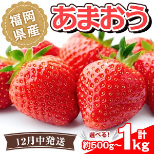 yӂ邳Ɣ[ŁzeʂIׂEs\tI2025N12菇\聄Y ܂(v500g or 1kg)   t[c ʕ  ① zsyksg1488Eksg1502