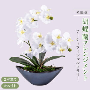 yӂ邳Ɣ[ŁzA[eBtBVt[ӒAWgG} (zCg)y1033169z