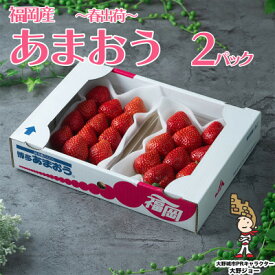 【ふるさと納税】フルーツ専門店が選んだ「あまおう苺」(大野城市)(2パック～)【配送不可地域：離島】【G1083237】
