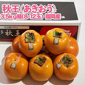 yӂ邳Ɣ[ŁzH()3.5kg(8-12)(s)_ `  JL ʕ t[c ӂ[    H Y Vi Yn uh IWi ①  x 