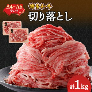 yӂ邳Ɣ[ŁzyA4`A5za؂藎Ƃ 1kg (500g×2pbN)_   a ؂藎 ؂藎Ƃ /јa a 1kg uh Y Y s Ⓚ A4 A5 500g _炩 yzs