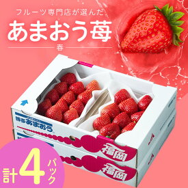 【ふるさと納税】 フルーツ専門店が選んだ「あまおう苺」春 4パック ( 大野城市 ) _ いちご 苺 イチゴ あまおう ギフト プレゼント 贈り物 送料無料 【配送不可地域：離島】【1083237】