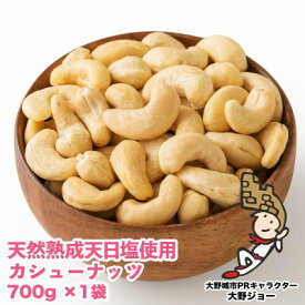 【ふるさと納税】天然熟成天日塩 カシューナッツ 700g(700g×1袋)(大野城市)_ ナッツ おつまみ ギフト プレゼント 贈り物 送料無料 【1139166】