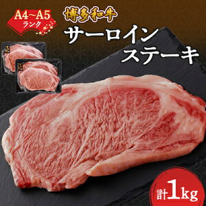 yӂ邳Ɣ[ŁzyA4`A5zaT[CXe[LZbg@1kg[250g×4]yzsnFzy1168510z