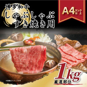 yӂ邳Ɣ[ŁzyA4`A5zaԂԂĂp1kg[500g×2pbN]yzsnFzy1168511z