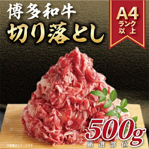 yӂ邳Ɣ[ŁzyցzyA4`A5za؂藎Ƃ@500gS12_ Ԑg o  Y   ؂藎Ƃ Ⓚ   јa Y BY Y  Y Yn