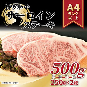 yӂ邳Ɣ[ŁzyցzyA4`A5zaT[CXe[LyIʁz500g(250g×2)S3yzsnFzy4002234z