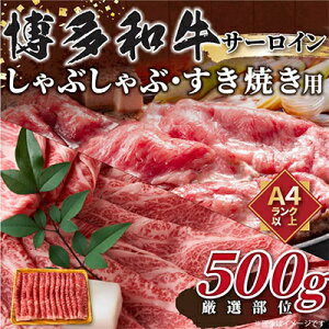 yӂ邳Ɣ[ŁzyցzyIʁzyA4`A5zaT[CԂԂĂp@500gS12yzsnFzy4004155z