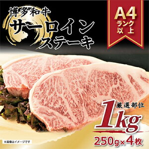 yӂ邳Ɣ[ŁzyցzyA4`A5zaT[CXe[LZbg@1kg[250g×4]S12yzsnFzy4004158z