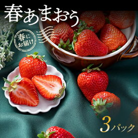 【ふるさと納税】【2026年発送先行予約】春にお届け!福岡産はるあまおう3パック_ あまおう いちご 苺 イチゴ フルーツ 果物 くだもの ふるーつ 旬 人気 国産 産直 産地直送 冷蔵 ギフト プレゼント 贈り物 送料無料 【配送不可地域：離島】【1333571】