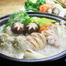 【ふるさと納税】博多水炊き(はかた地どり切り身・つみれ)セット2～3人前【配送不可地域：離島】【1526275】