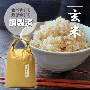 yӂ邳Ɣ[ŁzYuCv5kg×1 [5kg] []y1550489z