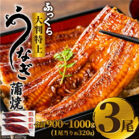 【ふるさと納税】ふっくら大判特上うなぎ蒲焼　計約900～1000g(約320g×3尾)【配送不可地域：離島】【1646345】