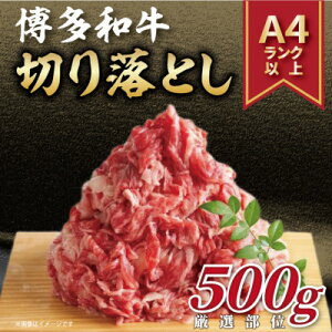 yӂ邳Ɣ[ŁzyցzyA4`A5za؂藎Ƃ 500gS12yzsnFzy4054275z