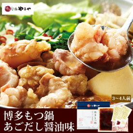 【ふるさと納税】【毎月定期便】博多もつ鍋やまやのあごだし醤油味(3～4人前)(大野城市)全6回【配送不可地域：離島】【4086514】