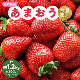 【ふるさと納税】【数量限定】2027年2月より順次発送 福岡県産あまおう4パック_ いちご 苺 イチゴ フルーツ 果物 くだもの ふるーつ 青果 産直 産地直送 あまおう 国産 甘い 人気 ギフト プレゼント【配送不可地域：離島】【1211836】