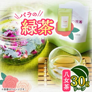 yӂ邳Ɣ[Łzo̗Β[t(F30g@30g)yG1452108z