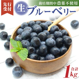 【ふるさと納税】栽培期間中無農薬・有機肥料で丹精込めて栽培した「ブルーベリー」1kg【2026年収穫】【JAほたるの里】_HA0273 送料無料栽培期間中無農薬・有機肥料 冷凍保存可能