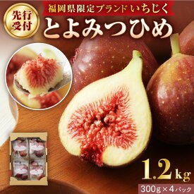 【ふるさと納税】【寄附額改定！】プレミアムいちじく とよみつひめ　1.2kg【JAほたるの里】_HA0278 いちじく イチジク 無花果 肉厚 デザート あまい 福岡 フルーツ 果物
