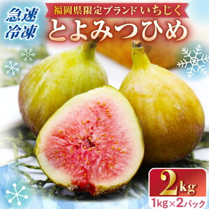 yӂ邳Ɣ[Łz}ⓀIYiv~AuƂ݂Ђ߁vⓀ e2kgyJAق̗z_HA0279 N₩ȃr[F̉ʔ Ȕʓ x17x }