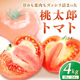 【ふるさと納税】桃太郎トマト4kg（18玉〜24玉）【ほたるの里】_HA0572 送料無料12月～6月にハウス栽培 酸味と糖度のバランスが良 甘みも果肉もズッシリ