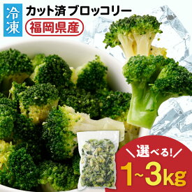 【ふるさと納税】＜選べる＞JAむなかたブロッコリー部会より！冷凍 ブロッコリー 1〜3kg（1kg×1〜3袋）【ほたるの里】 　送料無料野菜 一口サイズ 急速冷凍 使いやすい