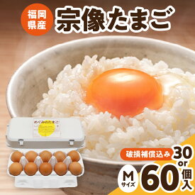 【ふるさと納税】JAむなかたよりお届け！宗像たまご30個(27個＋補償3個) 60個(55個＋補償5個)【JAほたるの里】