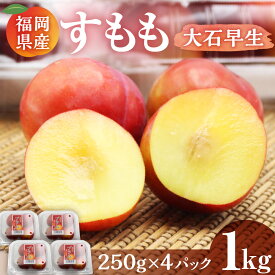 【ふるさと納税】【JAむなかた すもも部会より】すもも(大石早生)1kg(250g×4パック)【JAほたるの里】_HA1254
