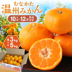 【ふるさと納税】＜選べる＞むなかた温州みかん 3kg or 5kg【2026年10月下旬～12月発送】【ほたるの里】 送料無料温州 みかん ミカン 柑橘 果物 フルーツ ジューシー 果汁 ジュース 期間限定 宗像 福岡