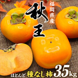 【ふるさと納税】【2026年収穫分 先行予約!】福岡県ブランド　高級柿【秋王】3.5kg【JAほたるの里】_HA1352　送料無料ギフト 贈答 種なし かき カキ 甘い 果物 フルーツ ボリューム たっぷり