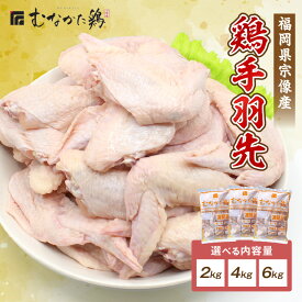 【ふるさと納税】宗像産ブランド鶏【むなかた鶏】手羽先 2kg 4kg 6kg（平飼い）【JAほたるの里】 ふるさと納税 肉 鶏肉 手羽先 とりにく ボリューム お得 ピリ辛チキン パーティー 大家族